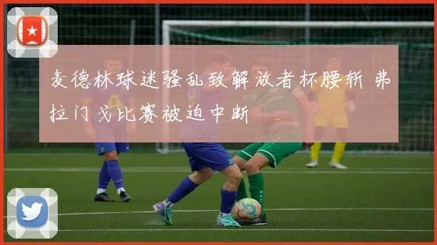 麦德林球迷骚乱致解放者杯腰斩 弗拉门戈比赛被迫中断